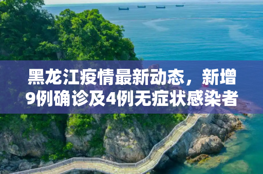 黑龙江疫情最新动态，新增9例确诊及4例无症状感染者,黑龙江新增9例确诊4例无症状