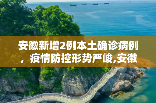 安徽新增2例本土确诊病例，疫情防控形势严峻,安徽新增2本土确诊