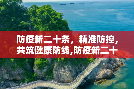 防疫新二十条，精准防控，共筑健康防线,防疫新二十条