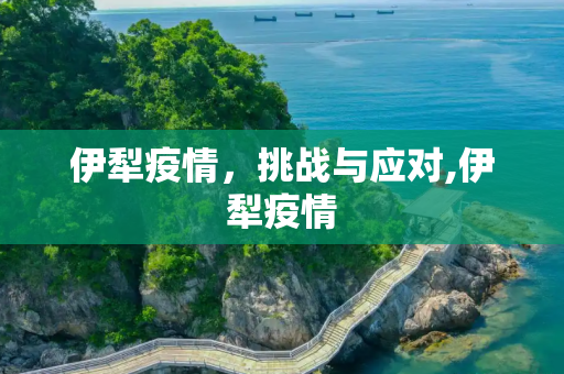 伊犁疫情，挑战与应对,伊犁疫情