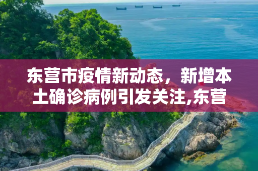 东营市疫情新动态，新增本土确诊病例引发关注,东营新增本土确诊