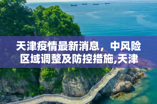 天津疫情最新消息，中风险区域调整及防控措施,天津疫情最新消息中风险