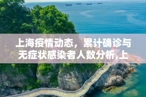 上海疫情动态，累计确诊与无症状感染者人数分析,上海累计确诊和无症状人数