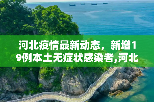 河北疫情最新动态，新增19例本土无症状感染者,河北新增19例本土无症状