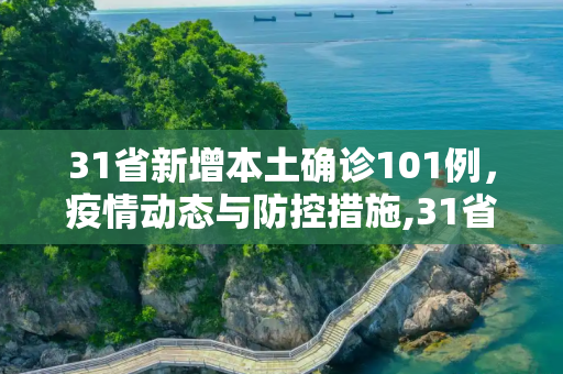 31省新增本土确诊101例，疫情动态与防控措施,31省新增本土确诊101例
