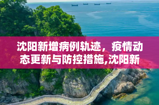 沈阳新增病例轨迹，疫情动态更新与防控措施,沈阳新增病例轨迹