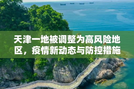 天津一地被调整为高风险地区，疫情新动态与防控措施,天津一地被调整为高风险地区
