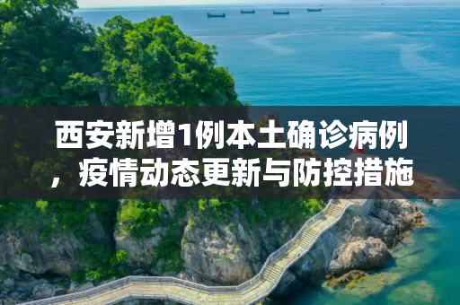西安新增1例本土确诊病例，疫情动态更新与防控措施,西安新增1例本土确诊病例