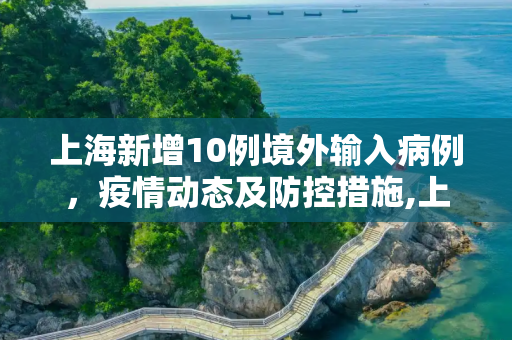 上海新增10例境外输入病例，疫情动态及防控措施,上海新增10例境外输入病例的简单介绍