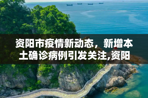 资阳市疫情新动态，新增本土确诊病例引发关注,资阳新增本土确诊