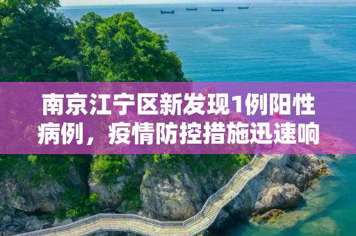 南京江宁区新发现1例阳性病例，疫情防控措施迅速响应,关于南京江宁新发现1例阳性的信息
