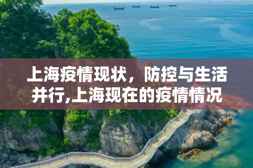 上海疫情现状，防控与生活并行,上海现在的疫情情况