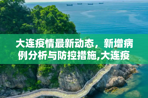 大连疫情最新动态，新增病例分析与防控措施,大连疫情最近新增