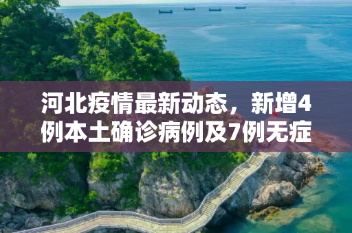 河北疫情最新动态，新增4例本土确诊病例及7例无症状感染者,河北新增4例本土确诊、7例无症状