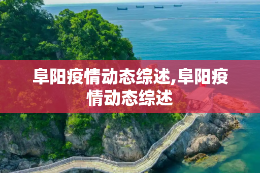 阜阳疫情动态综述,阜阳疫情动态综述
