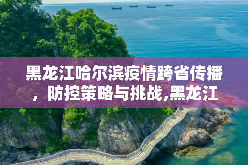 黑龙江哈尔滨疫情跨省传播，防控策略与挑战,黑龙江哈尔滨疫情跨省传播