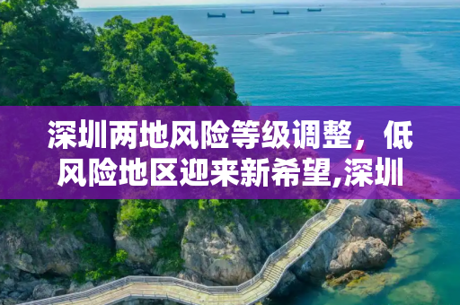 深圳两地风险等级调整，低风险地区迎来新希望,深圳两地调整为低风险地区