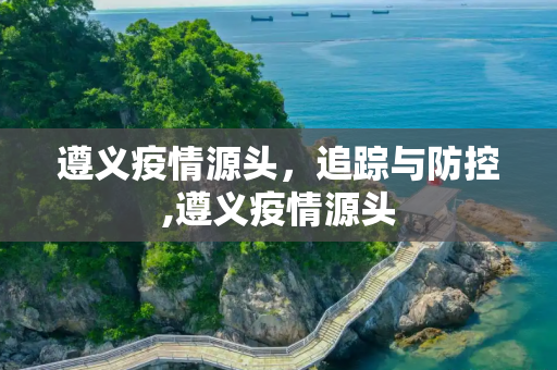 遵义疫情源头，追踪与防控,遵义疫情源头