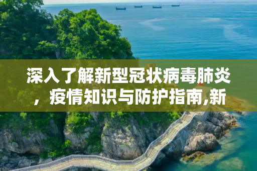 深入了解新型冠状病毒肺炎，疫情知识与防护指南,新型冠状病感染的肺炎疫情知识