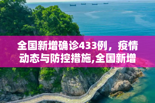 全国新增确诊433例，疫情动态与防控措施,全国新增确诊433例