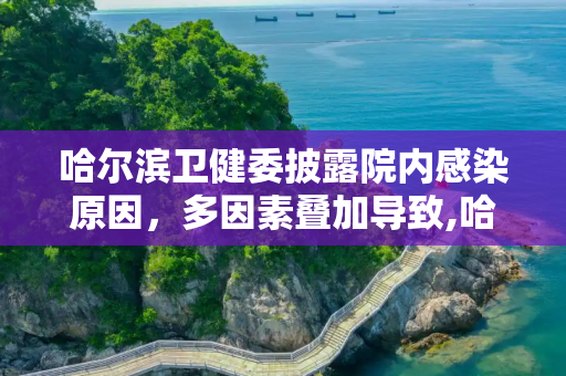 哈尔滨卫健委披露院内感染原因，多因素叠加导致,哈尔滨卫健委披露院内感染原因