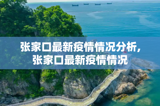 张家口最新疫情情况分析,张家口最新疫情情况