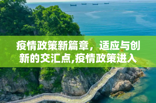 疫情政策新篇章，适应与创新的交汇点,疫情政策进入新篇章