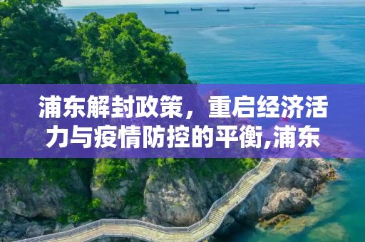 浦东解封政策，重启经济活力与疫情防控的平衡,浦东解封政策