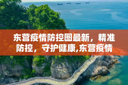 东营疫情防控图最新，精准防控，守护健康,东营疫情防控图最新