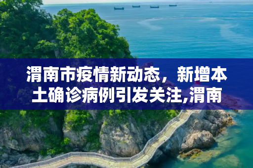 渭南市疫情新动态，新增本土确诊病例引发关注,渭南新增本土确诊