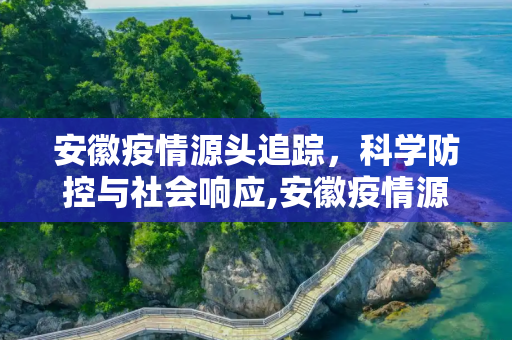安徽疫情源头追踪，科学防控与社会响应,安徽疫情源头