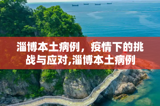 淄博本土病例，疫情下的挑战与应对,淄博本土病例