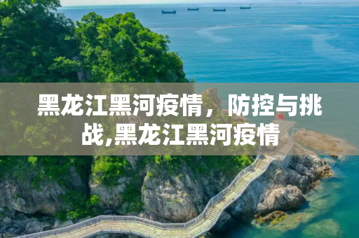 黑龙江黑河疫情，防控与挑战,黑龙江黑河疫情