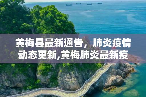 黄梅县最新通告，肺炎疫情动态更新,黄梅肺炎最新疫情:黄梅县最新通告