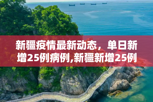 新疆疫情最新动态，单日新增25例病例,新疆新增25例