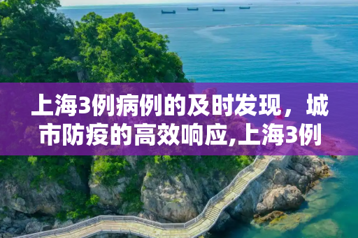 上海3例病例的及时发现，城市防疫的高效响应,上海3例病例都是及时被发现