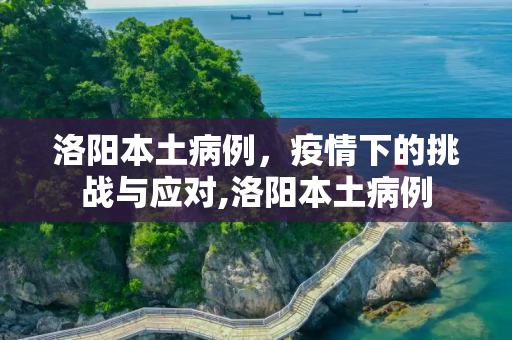 洛阳本土病例，疫情下的挑战与应对,洛阳本土病例