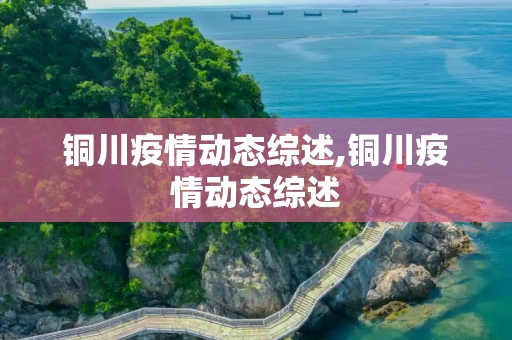 铜川疫情动态综述,铜川疫情动态综述