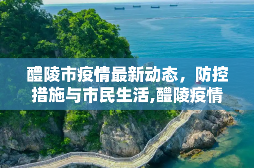 醴陵市疫情最新动态，防控措施与市民生活,醴陵疫情最新情况