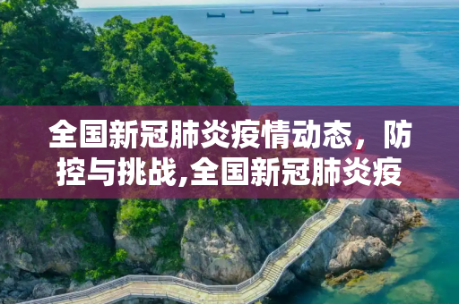 全国新冠肺炎疫情动态，防控与挑战,全国新冠肺炎疫情动态