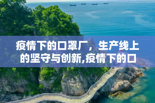 疫情下的口罩厂，生产线上的坚守与创新,疫情下的口罩厂