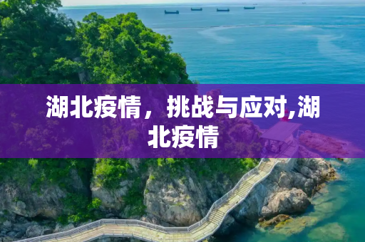 湖北疫情，挑战与应对,湖北疫情