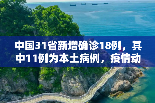 中国31省新增确诊18例，其中11例为本土病例，疫情动态与防控措施,31省新增确诊18例11例为本土
