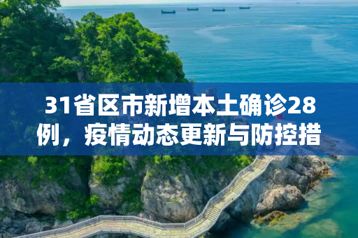 31省区市新增本土确诊28例，疫情动态更新与防控措施,31省区市新增本土确诊28例
