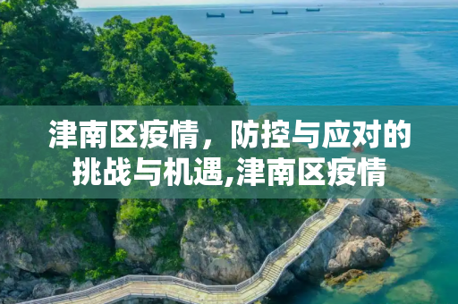 津南区疫情，防控与应对的挑战与机遇,津南区疫情