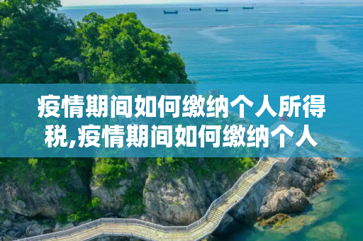 疫情期间如何缴纳个人所得税,疫情期间如何缴纳个人所得税
