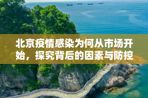 北京疫情感染为何从市场开始，探究背后的因素与防控策略,北京的疫情感染为什么从市场开始