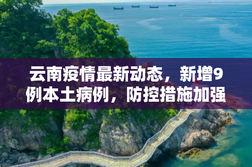 云南疫情最新动态，新增9例本土病例，防控措施加强,云南新增9例本土