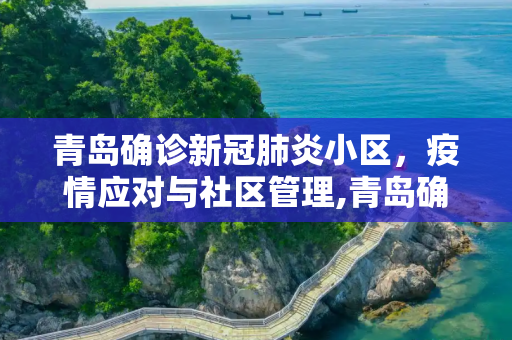 青岛确诊新冠肺炎小区，疫情应对与社区管理,青岛确诊新冠肺炎小区