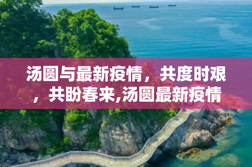 汤圆与最新疫情，共度时艰，共盼春来,汤圆最新疫情